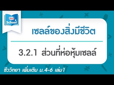 3.2.1 ส่วนที่ห่อหุ้มเซลล์