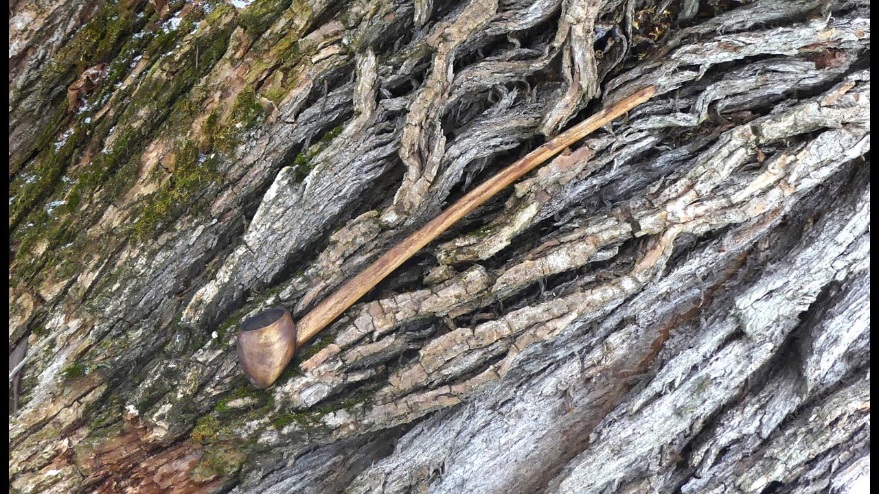 Making Gandalf's tobacco pipe from a willow tree