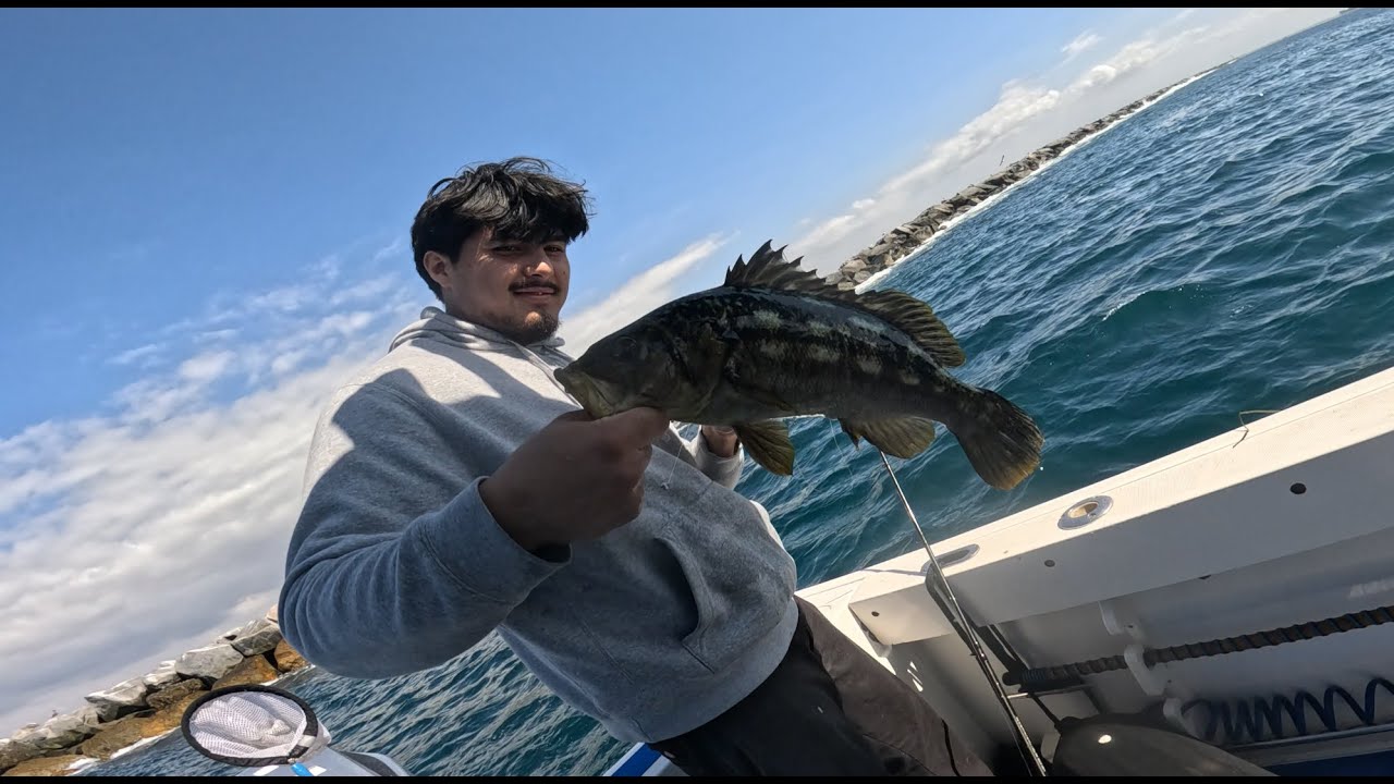 The Fish Are Still Biting At The Long Beach Break Wall
