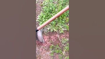 This is a special tool to make cleaning grass easier.