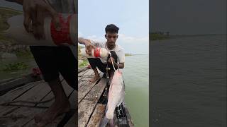 Target Big fish chathin katla fish bait #fishing #amazingfishing