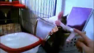 @jsakha [http://twitvid.com/GADOP - test upload]