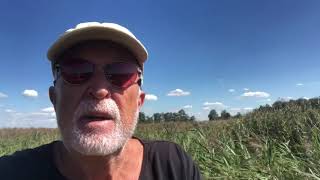 2020 Asmara in Friesland - De retourreis