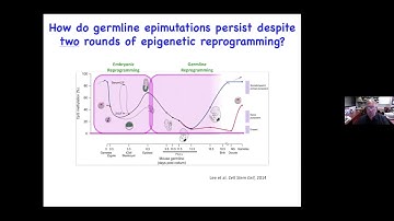 Multiparametric Analysis of the Spermatogonial Stem Cell Epigenome, John McCarrey, PhD