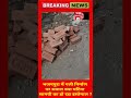 भजनपुरा गली निर्माण पर सवाल 🚧 क्या घटिया सामग्री लग रही है?