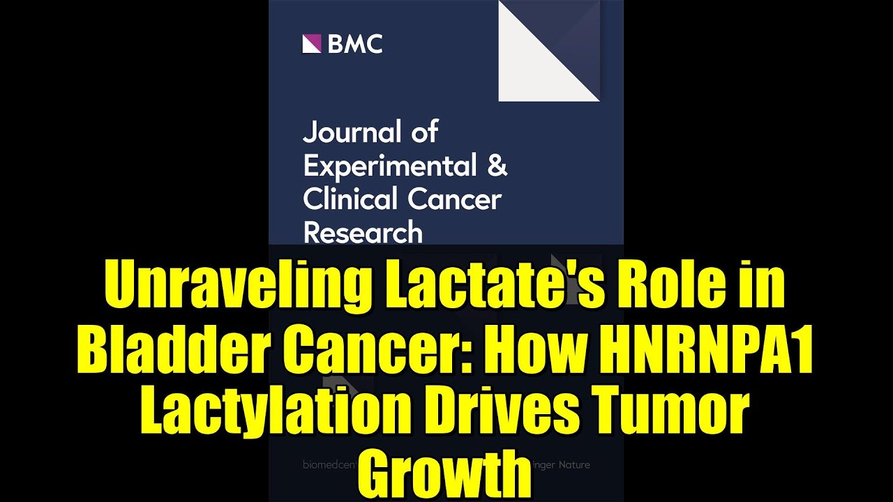 Unraveling Lactate's Role in Bladder Cancer: How HNRNPA1 Lactylation Drives Tumor Growth