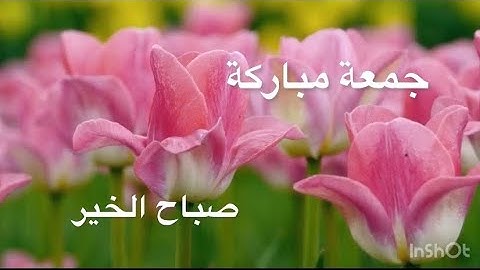 سورة الكهف 🌹جمعة مباركة 🌙صباح الخير🌹حالات وتس آب ٢٠٢٢ جمعة مباركة /ستوريات أنستا يوم الجمعة