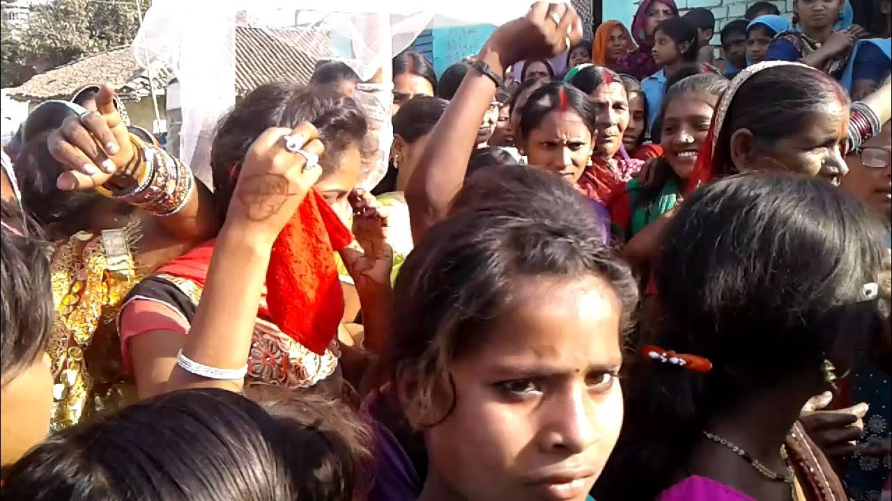 bhojpuri holi video bihar wap