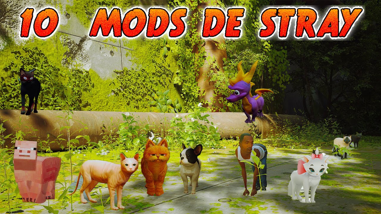 10 Mods de Stray En 1 Video