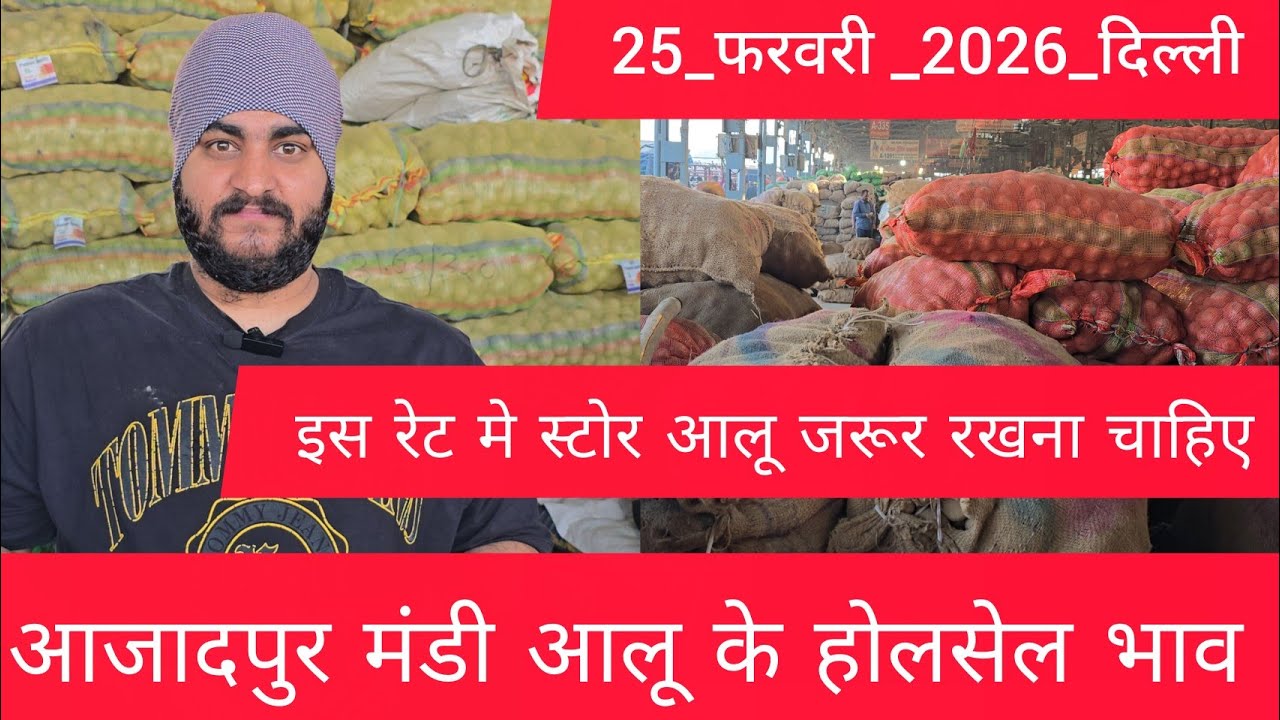 February 25, 2026 दिल्ली 🥔आलू के भाव Azadpur Delhi mandi today #PotatoMarket #delhipotatomarket 