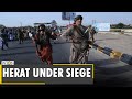 WION Ground Report: Third largest city of Afghanistan fears Taliban takeover | Herat | English News