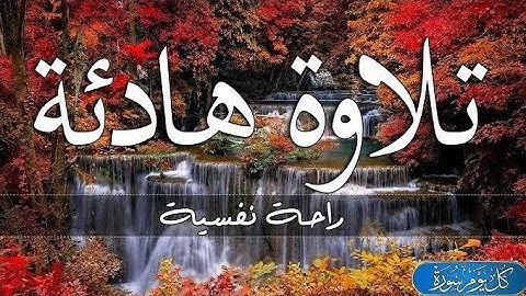 تلاوة متميزة صوته رائع جداً .. سورة يوسف.. أرح بالك بهذا الفيديو