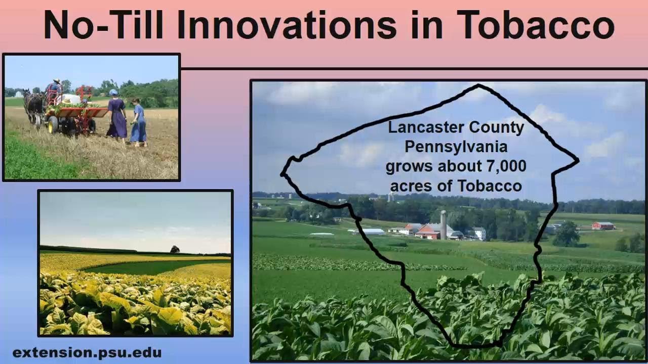 No-Till Innovations in Tobacco