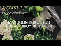 筒井裕之&amp;江藤ようこ / DreamII〜シロツメクサの約束〜introduction