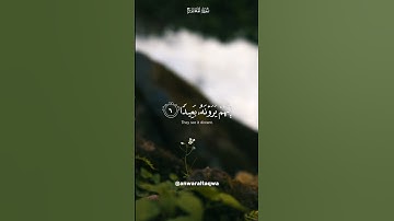 اكتب شئ تؤجر عليه #اسلام_صبحي #تلاوات #قرآن #تلاوة_خاشعة