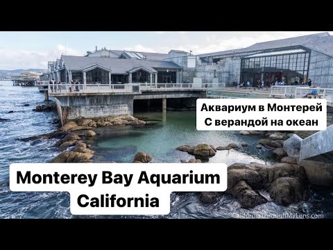 Видео: Руководство для посетителей Аквариума Монтерей Бэй