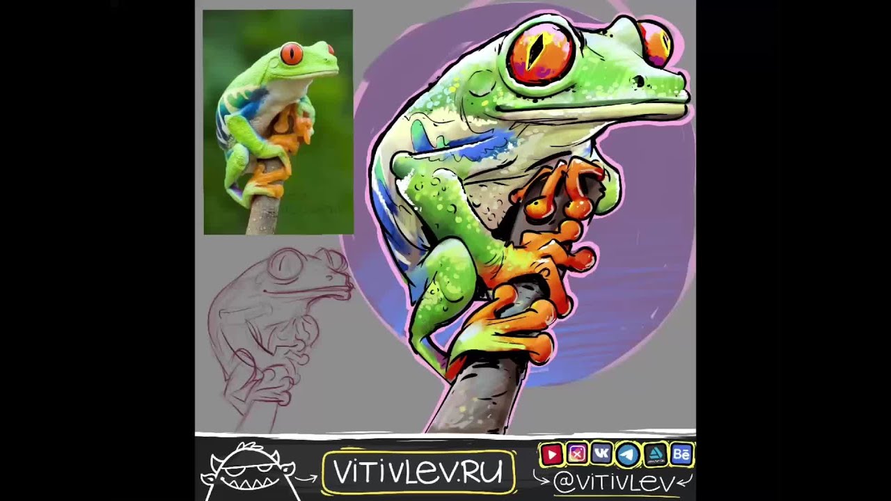 Frog drawing process