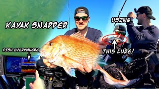 Kayak SNAPPER Fishing - LURES Only!