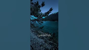 قران كريم | عبد الرحمن مسعد #قران_كريم