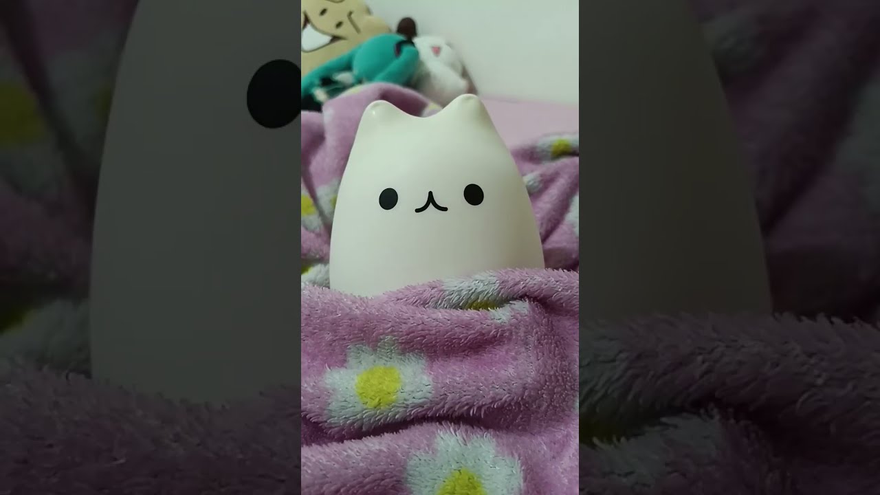 Well Hello There Eggcat Catlamp Cat Fyp