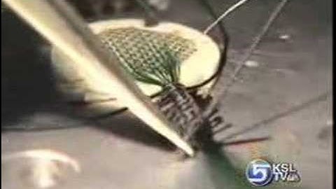 Neural Microelectronics