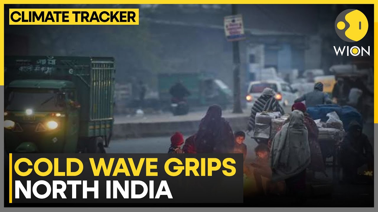 Cold Wave Tightens Grip Across North India As Rain, Snow And Fog Disrupt Life | WION Climate Tracke