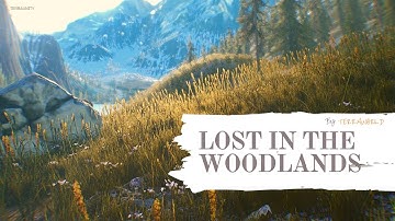 Lost In The Woodlands By TerraWorld • Deep Relaxing & Meditation Music