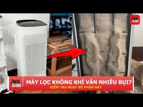 Máy lọc không khí chạy cả ngày vẫn đầy bụi? Thủ phạm có thể nằm ngay bên trong máy | TTGĐ