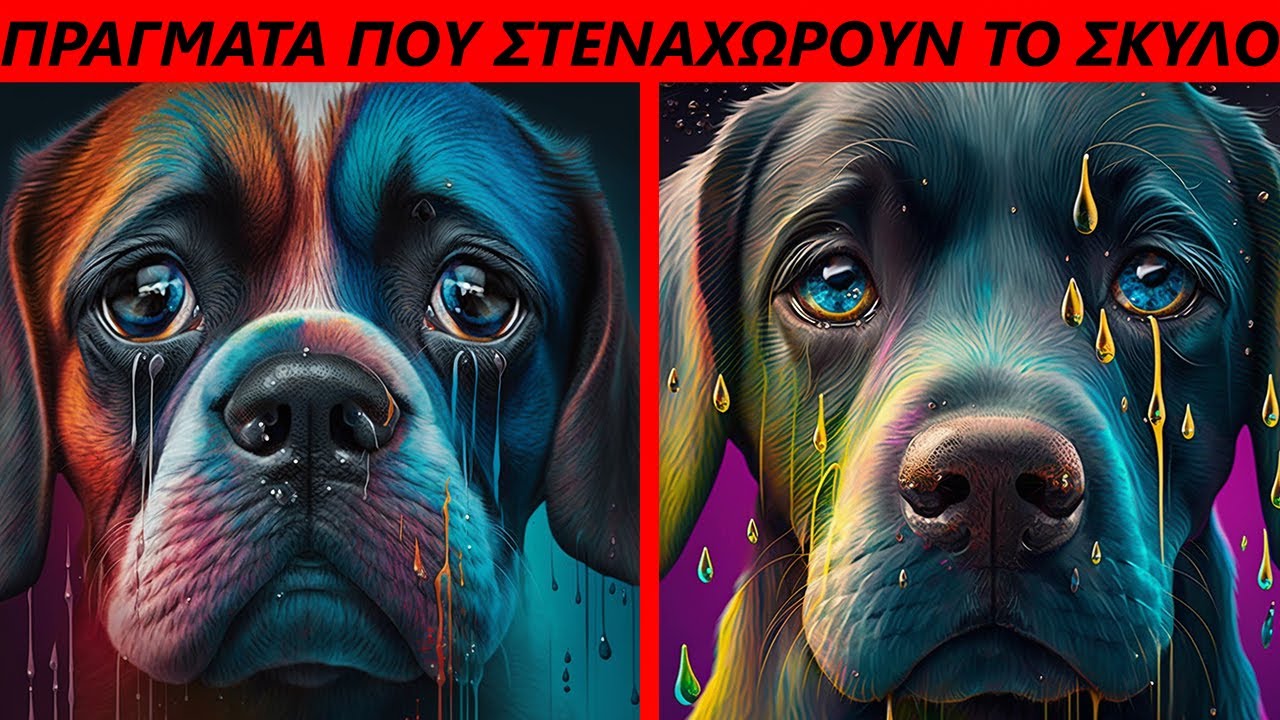 20 πράγματα που στεναχωρούν το σκυλο σας χωρίς να το καταλάβετε. Συμβουλές για την αποφυγή τους.