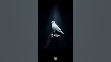 يَا أَيُّهَا النَّاسُ اتَّقُوا رَبَّكُمْ ۚ إِنَّ زَلْزَلَةَ السَّاعَةِ شَيْءٌ عَظِيمٌ 🥺💔 | سورة الحج