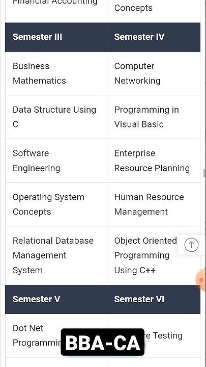 BBA Computer Application syllabus - YouTube