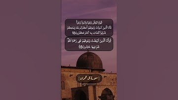 سورة آل عمران الآية ١٠٦ الى ١٠٨ بصوت الشيخ محمد صديق المنشاوي