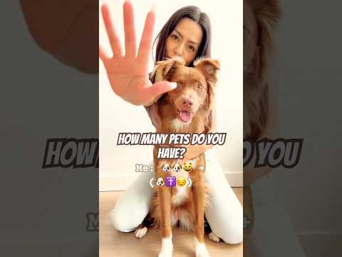 Wiggle Your Ears