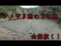 アメザリ池の下の池の水全部抜く!終わってる池を再生する⑫