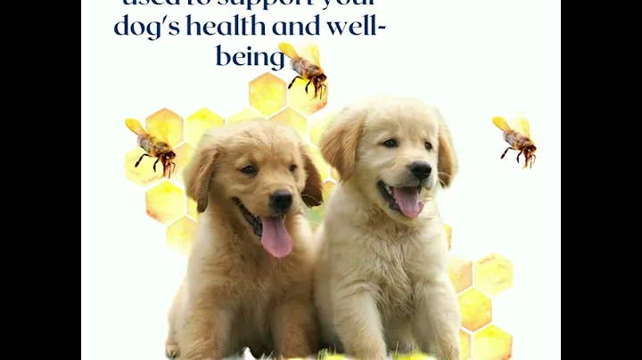 The Secrets of Bee Pollen