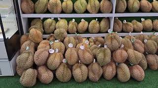 Jakarta : Durian Festival . Gandaria City. June 2023