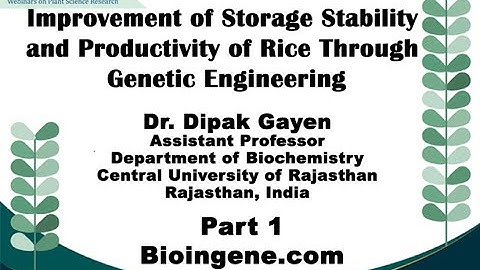 Bioingene.com Webinar on storage stability and productivity of rice through GE [Part 1 of 3]