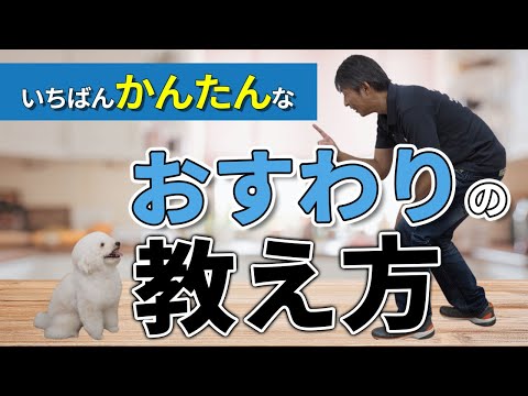 犬のしつけ 誰にでも簡単にできるおすわりの教え方