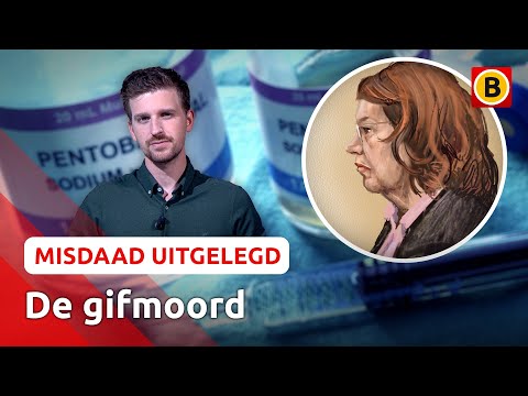Moordverdachte YVON K. DOOD: VERGIFTIGDE zij haar VRIEND? | Misdaad Uitgelegd