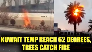 Kuwait witness 62 degrees Celsius temperature, Trees and bushes catch fire, Watch | Oneindia News