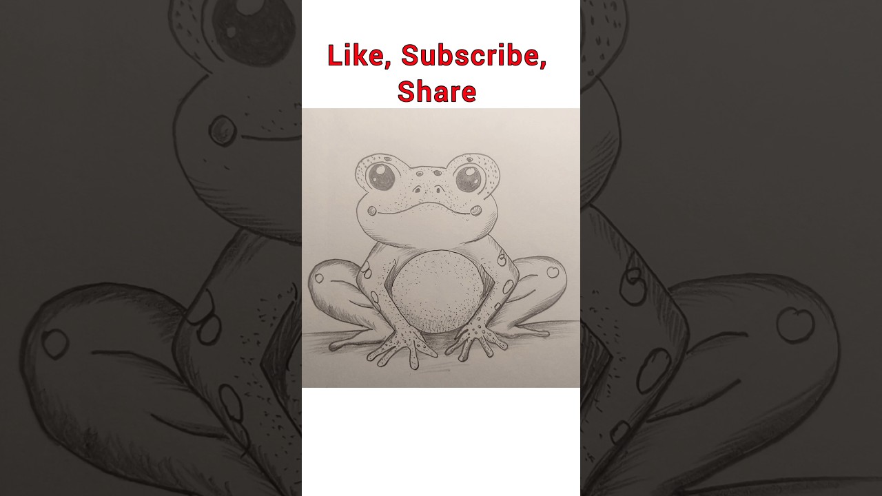 Frog drawing video, 