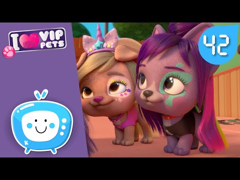 📱 VIP Pets-ის ინფლუენსერები 📱 VIP PETS 🌈 ვიაპი ფეთს 🌈 სრული ეპიზოდები 💇🏼 მულტფილმები ქართულად