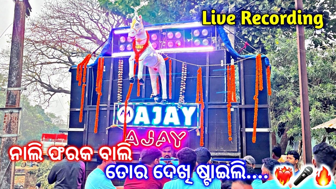 A1 Ajay Musical || Nali Farak Bali Odia Trending Song || Live Recording || 😍❤️‍🔥🔥 #odishaallmusical