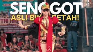 Download Lagu SENGGOT‼️AWAS GAGAL FOKUS - DOLALAK NEW PUTRI ARUM MP3 Download Lagu SENGGOT‼️AWAS GAGAL FOKUS - DOLALAK NEW PUTRI ARUM MP3