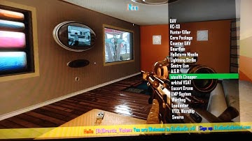 Bo2 Elegance v4 Mod Menu