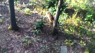 VID 20110917 00004