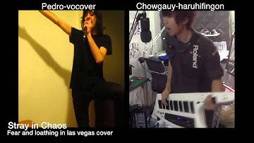 Stary in chaos - fear and loathing in las vegas