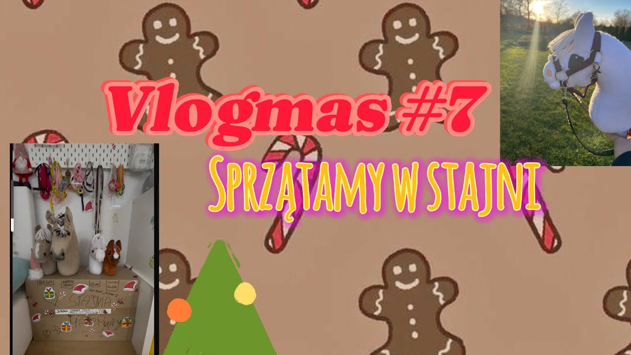 Vlogmas #7 ❄️❤️( sprzątamy stajnie ) ❤️❄️