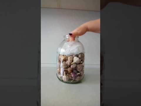 Как СОХРАНИТЬ ЧЕСНОК в квартире ЗИМОЙ#Shorts