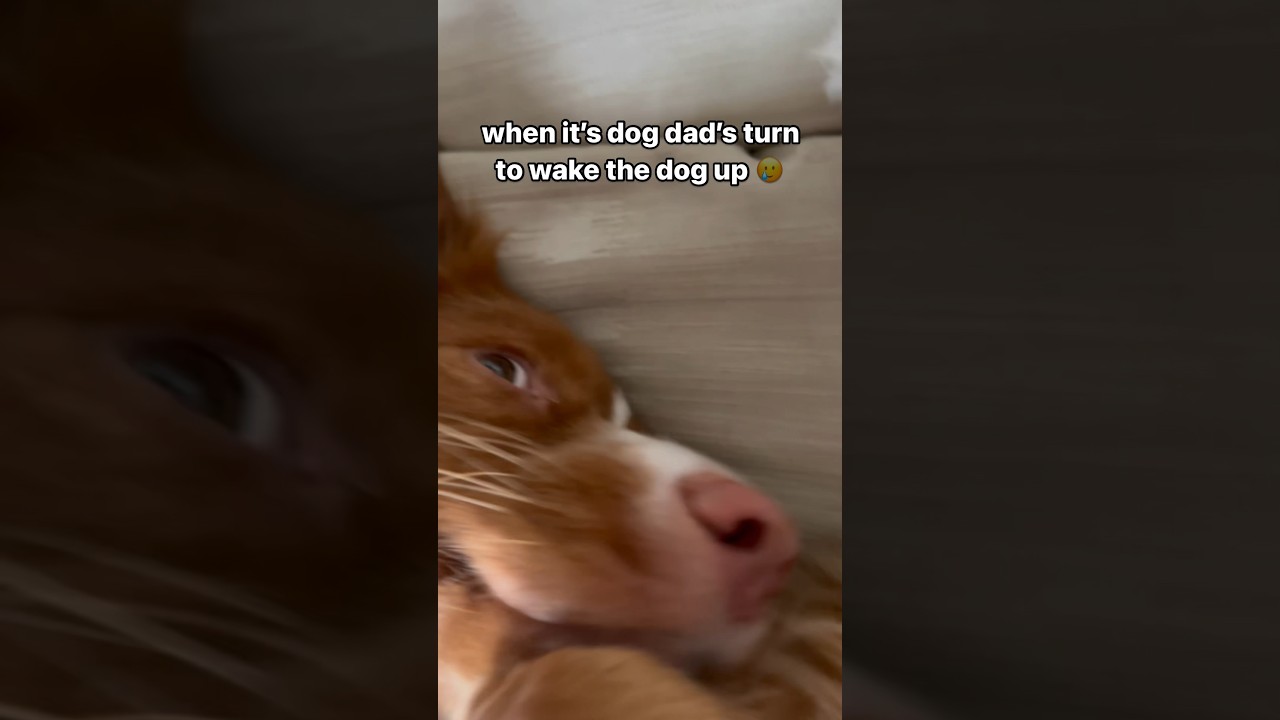 Not demure. NOT CUTESY. 